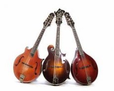 Banjo Mandoline
