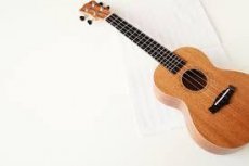 boeken ukulele/ banjo /mandoline