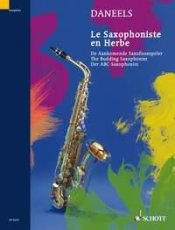 sax The Budding Saxophonist