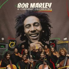 Marley Bob: Chineke Orchestra