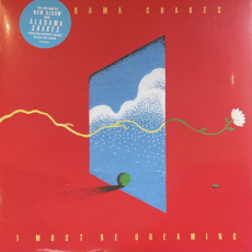 Alabama Shakes: I must be Dreaming