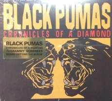 Black Pumas: Chronicles of a Diamond CD