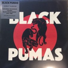 Black Pumas: Debut Album