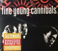 Fine Young Cannibals