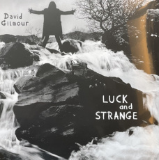 Gilmour David: Luck and Strange