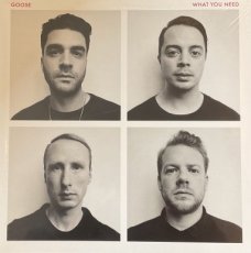 Goose: What You Need