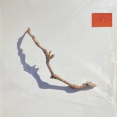 Harvey PJ: Inside The old Year Dying