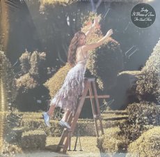 Laufey: A Matter of Time The Final Hour