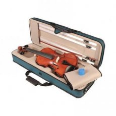 viool met koffer en strijkstok studie instrument