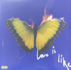Marlon 5: Love is Like