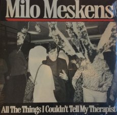 Milo Meskens: All the Things i couldn’t tell