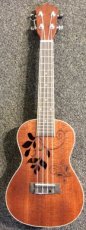 Ukelele bloem uitsnede