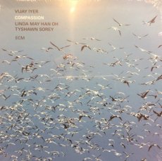 Vijay Iyer: LP Compassion