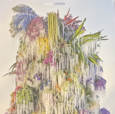 Wilco: Cousin
